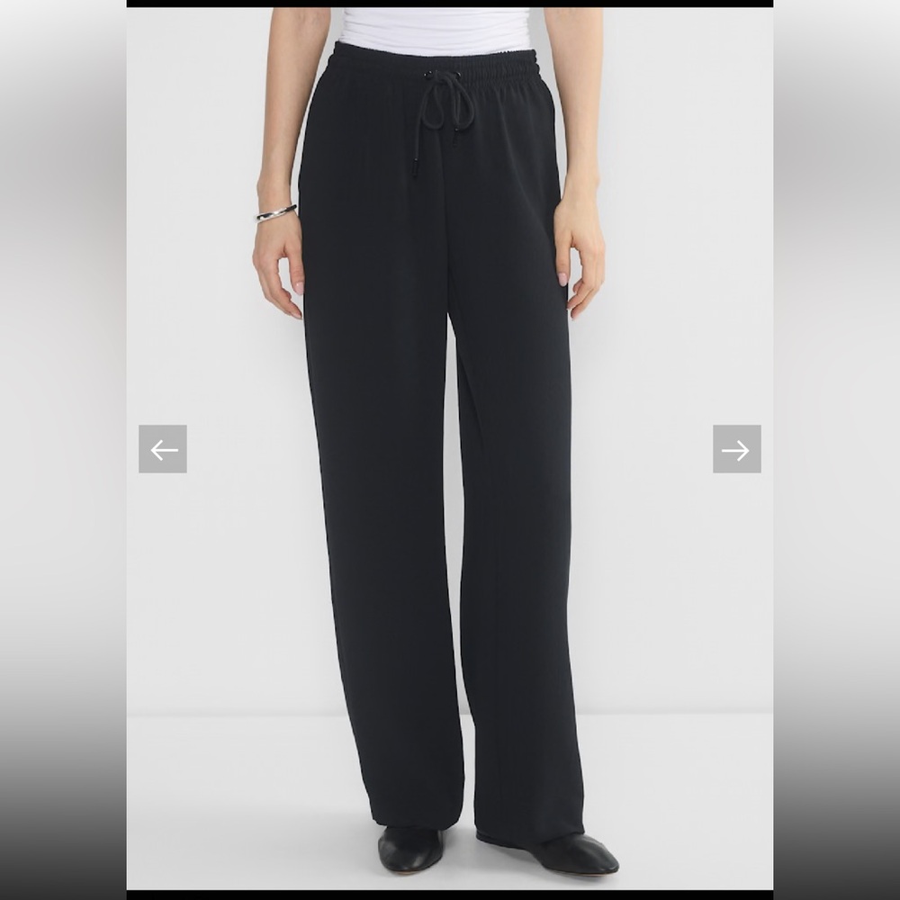 Aritzia Thesis Pant Black